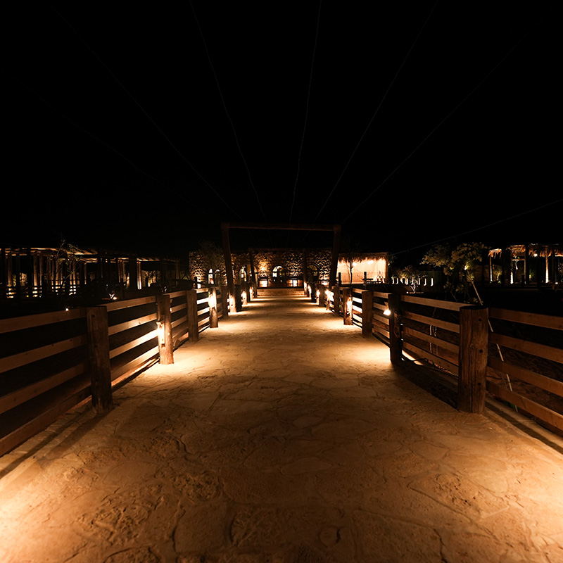 استكشاف عجائب الصحراء السعودية الخفية